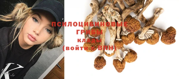 гашиш Аркадак