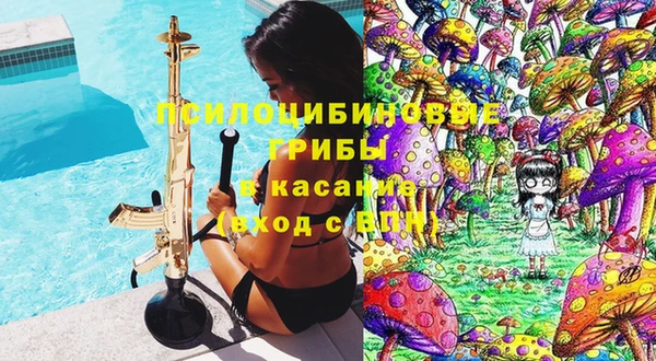 PSILOCYBIN Арсеньев