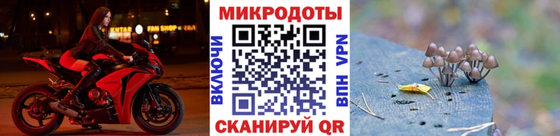Купить закладки  Ленинск  Галлюциногенные грибы Magic Shrooms 